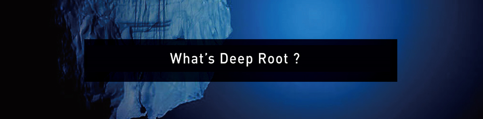 What's DeepRoot?