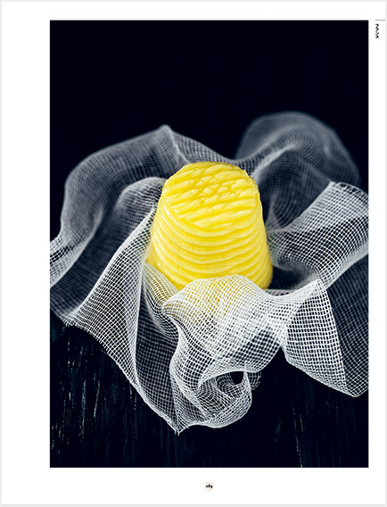 歴史ページ画像